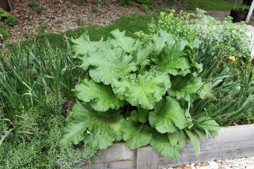 Wyckoff_Exteriors_Garden_017